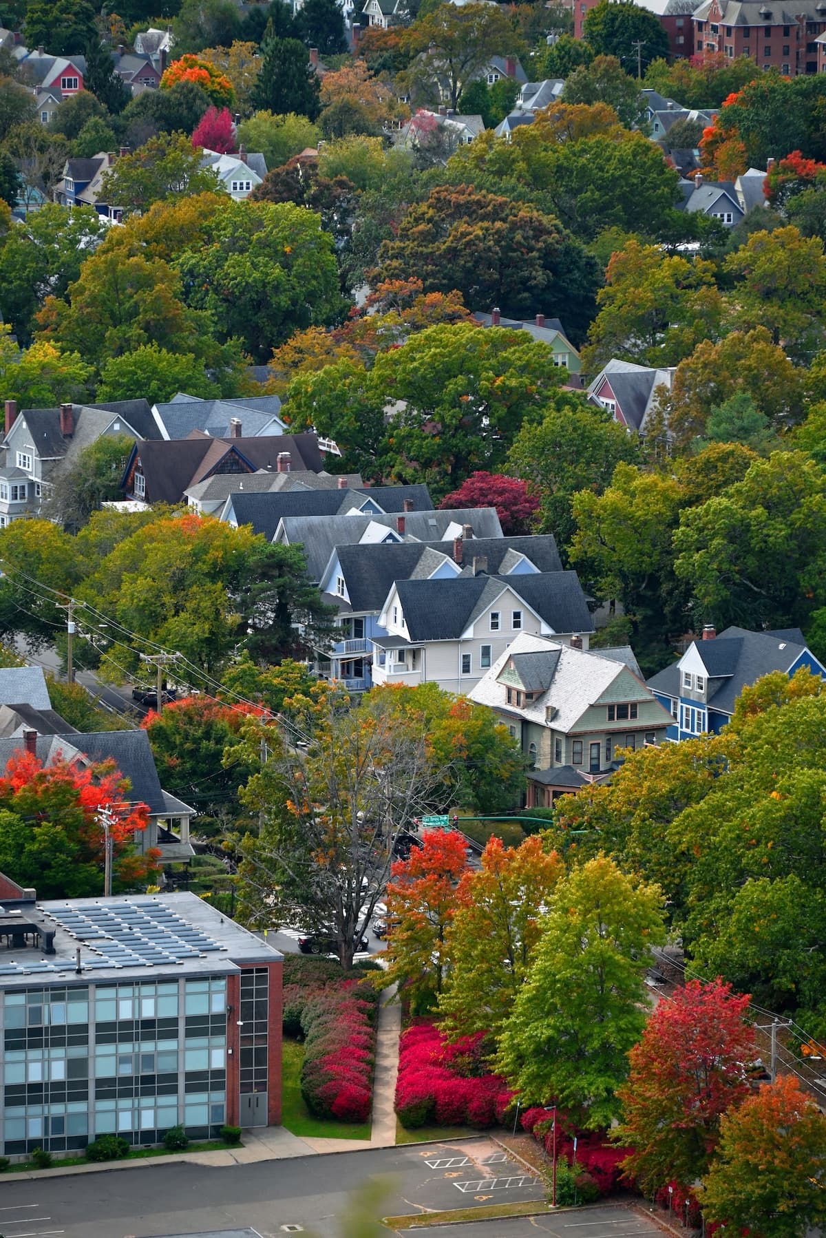 New Haven cityscape
